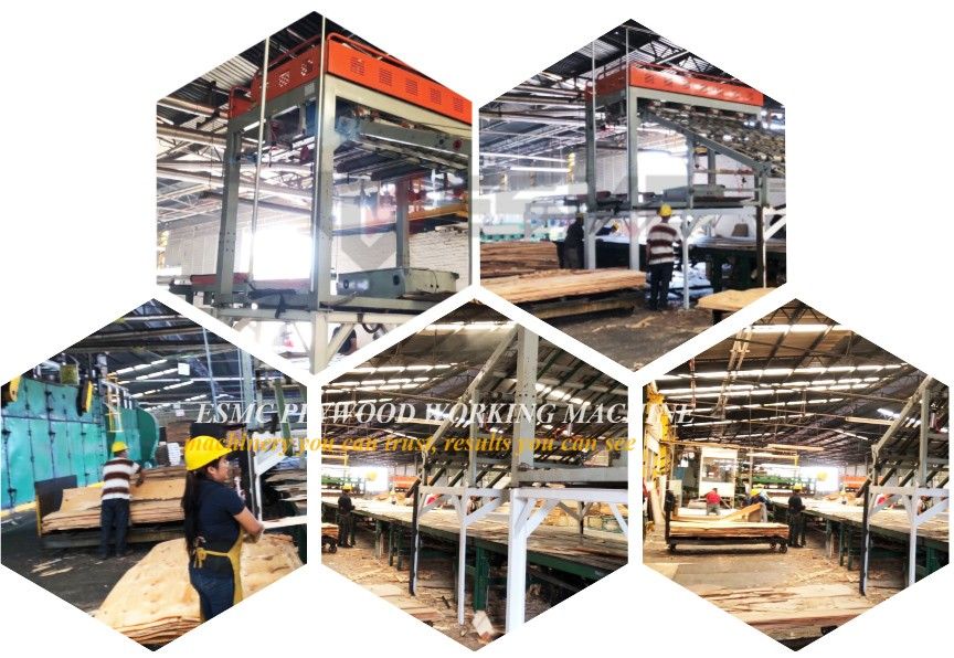 south america veneer peeling production line.jpg