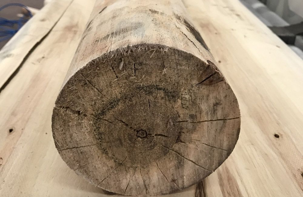 wood round logs.jpg
